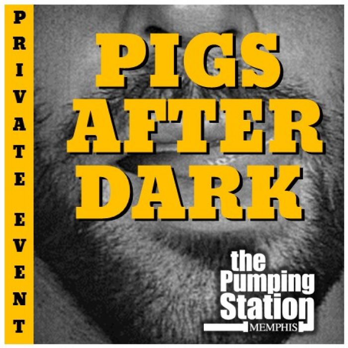 Pig After Dark 4.75 x 4.75
