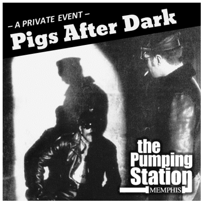 Pigs After Dark 4.75 x 4.75